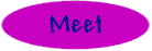 meet.gif (8407 bytes)